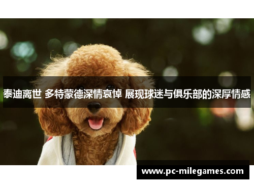 泰迪离世 多特蒙德深情哀悼 展现球迷与俱乐部的深厚情感