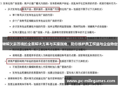 破解欠薪困境的全面解决方案与实操指南，助你维护员工权益与企业稳定