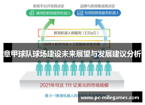 意甲球队球场建设未来展望与发展建议分析 意甲球队球场建设未来展望与发展建议分析
