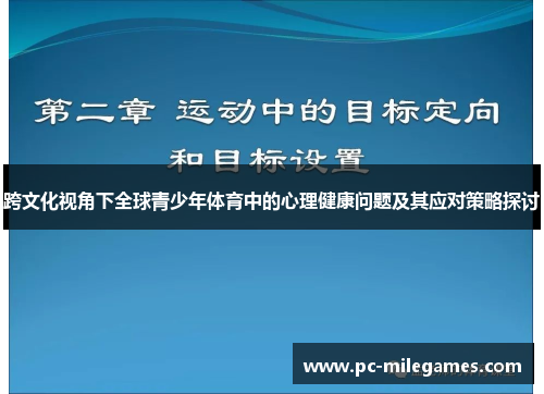 跨文化视角下全球青少年体育中的心理健康问题及其应对策略探讨