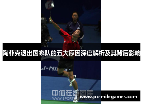 陶菲克退出国家队的五大原因深度解析及其背后影响 陶菲克退出国家队的五大原因深度解析及其背后影响